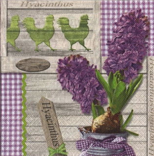 UBROUSEK 33 x 33 cm - HYACINTHUS